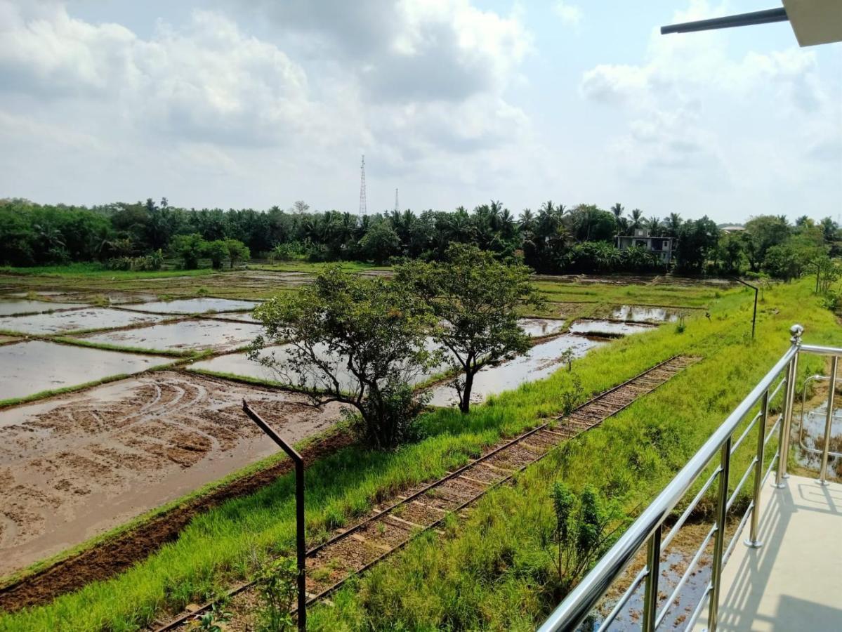 Freedom Of Green Rice View Anuradhapura Bagian luar foto