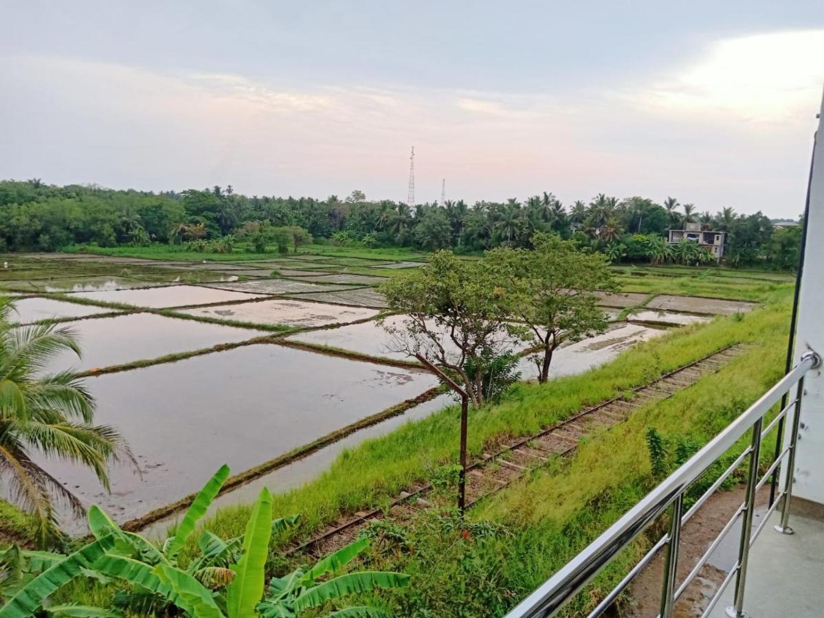 Freedom Of Green Rice View Anuradhapura Bagian luar foto